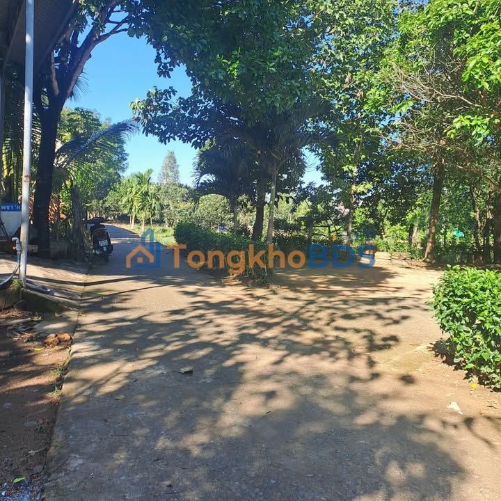 Đất Nền Đạ Tẻh - 430m² Sổ Hồng Sẵn Sàng - Giá Đầu Tư 650 Triệu