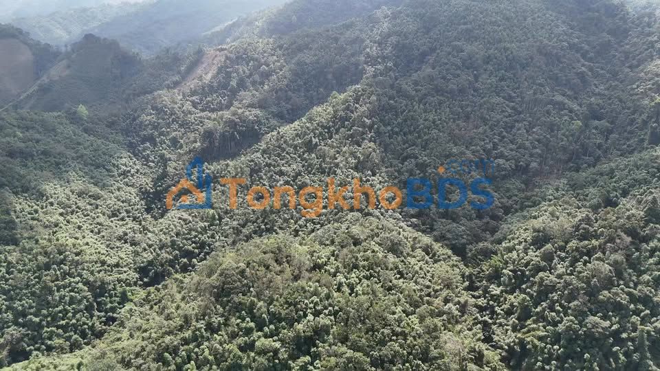 Đất Rừng Sản Xuất 50ha Tân Yên, Lạng Sơn - Giá Đầu Tư 35 Triệu/ha