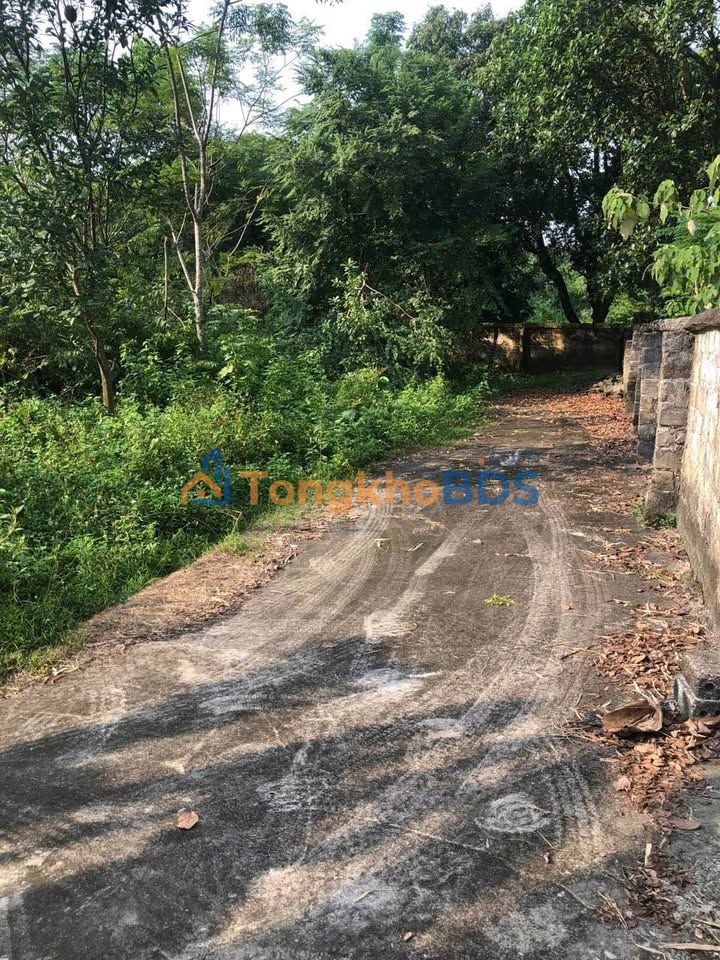 Đất Vàng Kim Long 758m² - Mặt Tiền Rộng, Giá F0 Chỉ 3.03 Tỷ