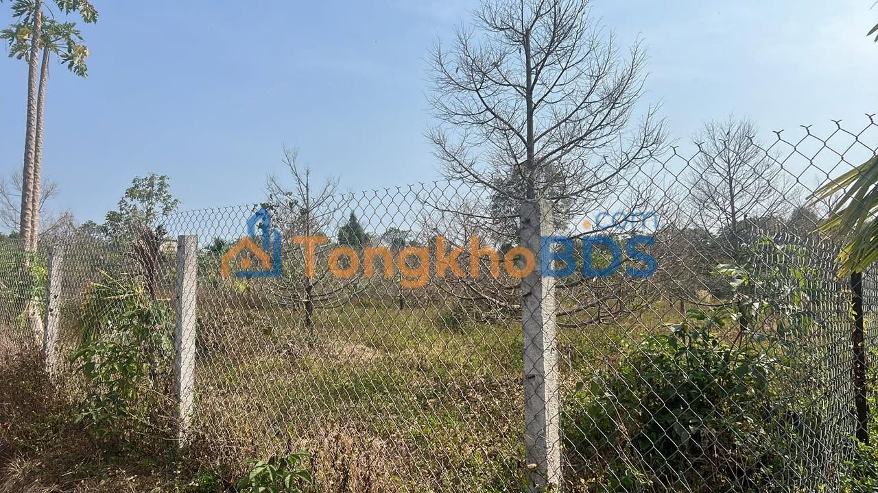 Bán gấp đất 4840m² Quảng Hiệp, Đắk Lắk - Sổ hồng riêng, giá 350 triệu