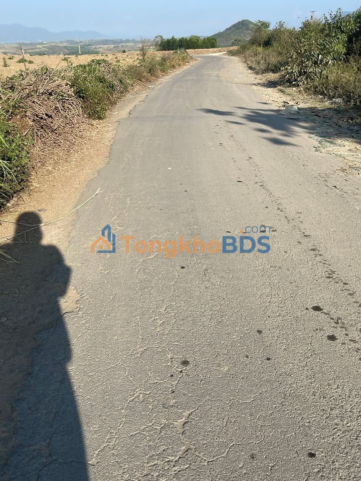 Đất Vườn Đắk Lắk 3.8ha Mặt Tiền 60m - Sầu Riêng & Nhãn Trĩu Quả