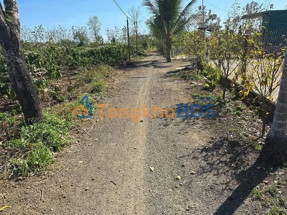 Đất nhà vườn Cư Né Krông Búk 570m² 1.46 tỷ - Xây dựng tự do