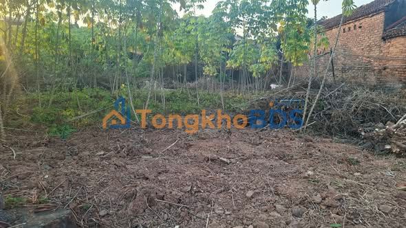 Đất nền Tiên Du, Bắc Ninh 206m² - Ô tô vào tận đất, gần QL31