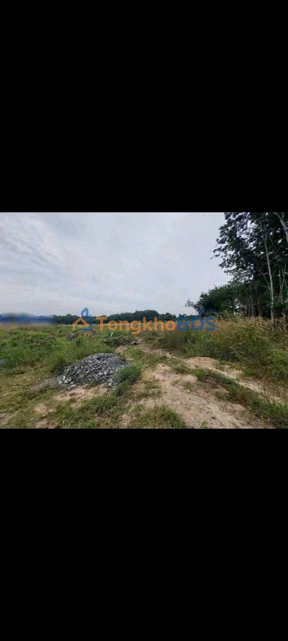 Bán Xưởng 9000m² Tân Uyên, Bình Dương - Sẵn SKC, Đường Xe Công