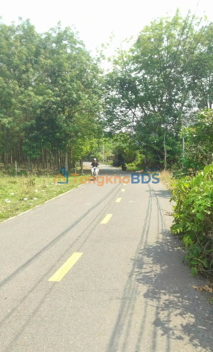 Đất thổ cư Thuận An 220m² - Chỉ 160 triệu, sổ đỏ sẵn