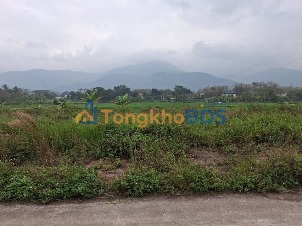 Đất Đấu Giá Tam Dương Bắc 100m² - Sổ Đỏ Full Thổ Cư - Giá 1.4 Tỷ