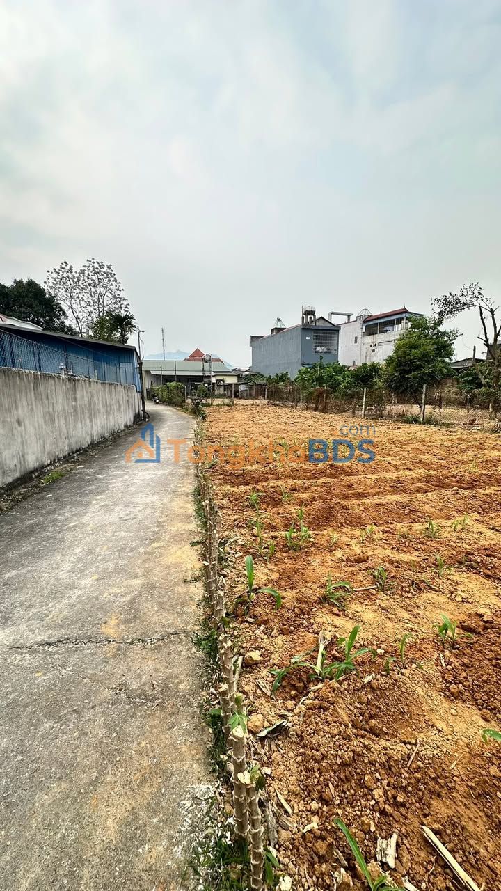 Đất nền Vĩnh Phúc TL307 300m² 1 tỷ - Sổ đỏ chính chủ