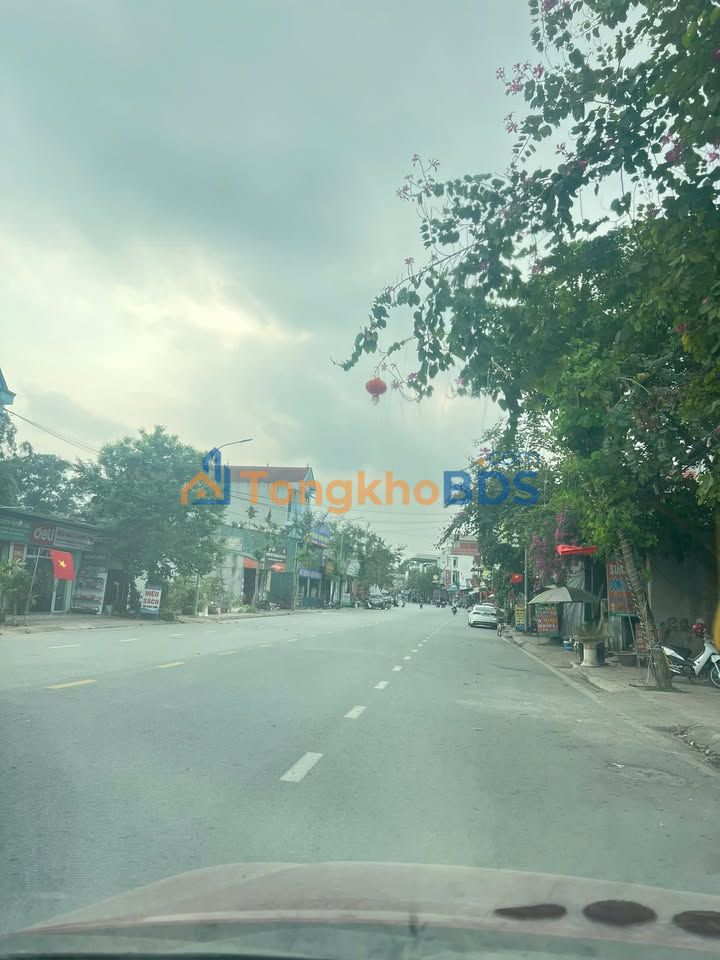 Đất Vàng TL 307 Vĩnh Yên 100m² - Kinh Doanh Đắc Lợi, Sổ Hồng Sẵn Sàng