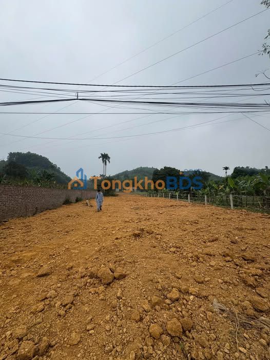 Đất Vườn Tuyên Quang 1300m² - Mặt Tiền Rộng, Sẵn Phân Lô Xây Nhà