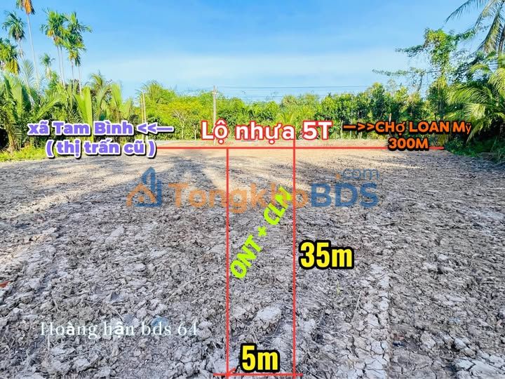 Bán Đất Thổ Cư Ngãi Tứ, Tam Bình, Vĩnh Long - 175m² Lộ Nhựa Chính Chủ