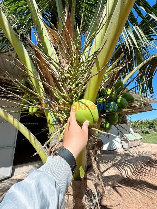 Đất thổ cư Hàm Liêm, Bình Thuận 400m² - Giá 1 tỷ, Sổ hồng sẵn