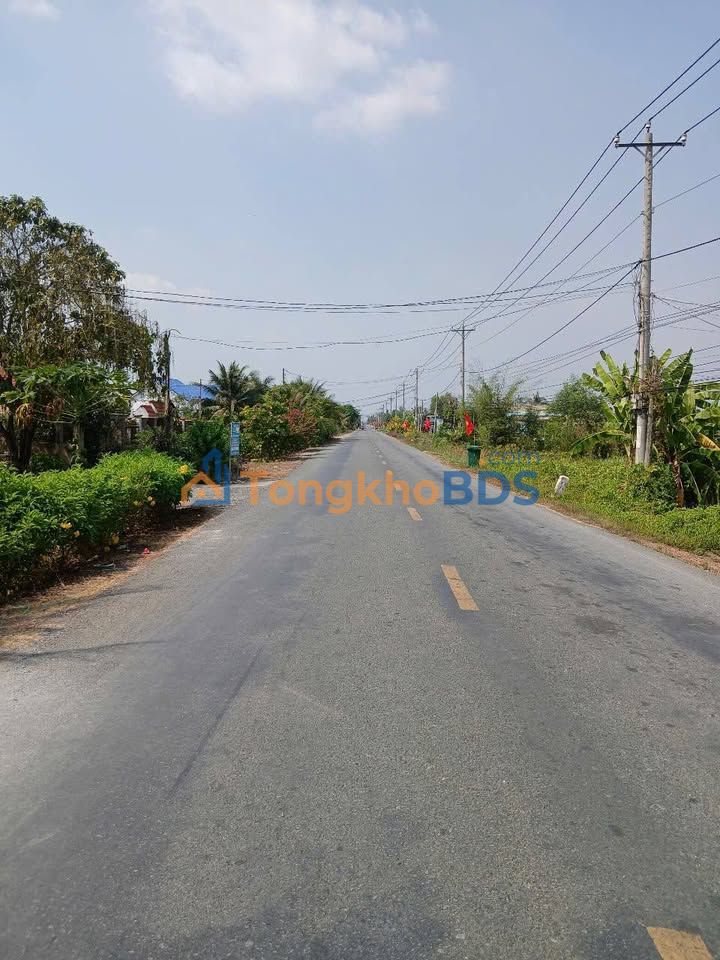 Bán Gấp Đất Vườn 5000m² Xã Thạnh Hòa, Bến Lức - Giá 2.25 Tỷ