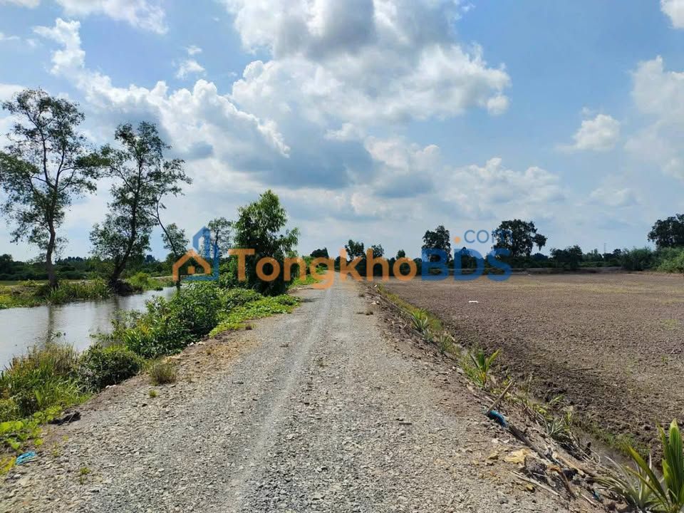 Bán Gấp 1.3ha Đất Vườn Mặt Tiền Kênh Thủ Thừa, Long An - 7.8 Tỷ