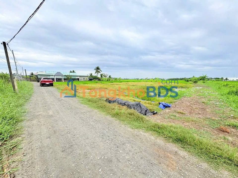 Đất nền F0 Lạc Tấn, Long An - Sổ đỏ sẵn, giá từ 395 triệu