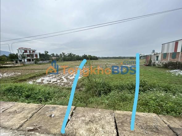 Bán Đất Nông Cống 175m² Mặt Tiền Tỉnh Lộ 505 - Tiềm Năng Kinh Doanh Vượt Trội