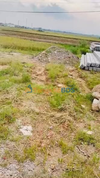 Đất Minh Nghĩa Nông Cống 140m² thỏa thuận - Sổ đỏ chính chủ