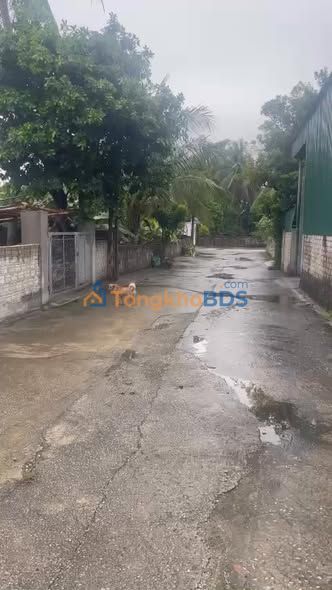 Đất nền Thôn Thống Nhất, Nông Cống - 133.8m² - Giá tốt nhất