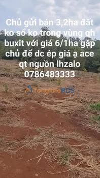 Bán Gấp 3.2ha Đất Vườn Trồng Sầu Riêng & Điều Ghép - Bình Phước