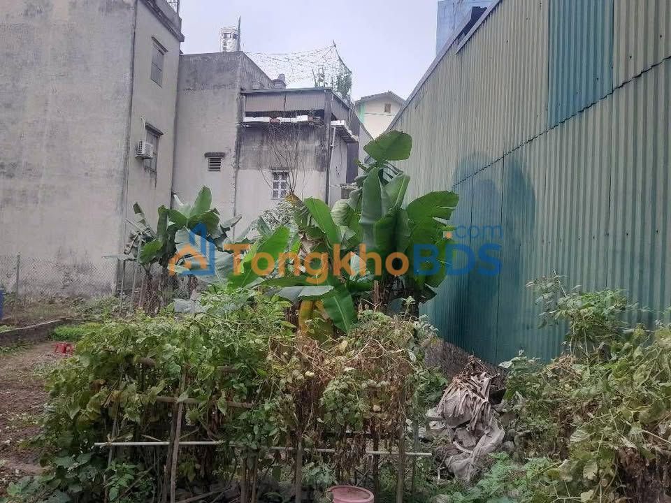 Bán Đất Vàng Thạch Bàn 79m², Mặt Tiền 3.9m - Ngõ Thông Ô Tô Đỗ Cửa