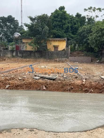 Đất Vĩnh Phúc 1225m² - Sổ Đỏ Thổ Cư Gần Chợ Vồ, Bình Xuyên