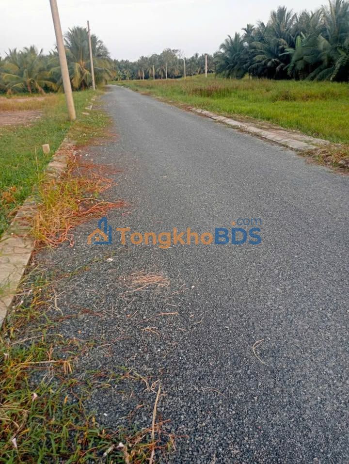 Đất nền Trà Vinh 117m² mặt tiền lộ nhựa - Giá 270 triệu, sổ hồng sẵn