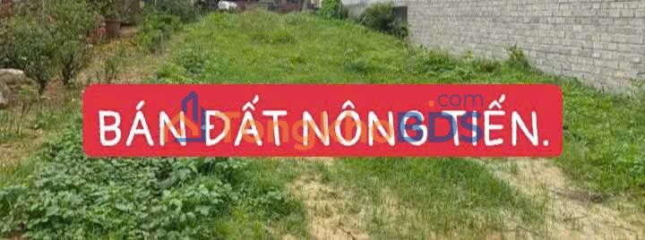 Bán Đất Nông Tiến Tuyên Quang 100m² - Vuông Vắn, Thoáng Đãng, Giá Tốt