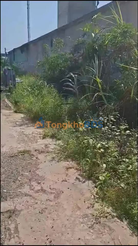 Nhà cấp 4 52m² Xã Long Điền B, Chợ Mới - Giá 450 Triệu