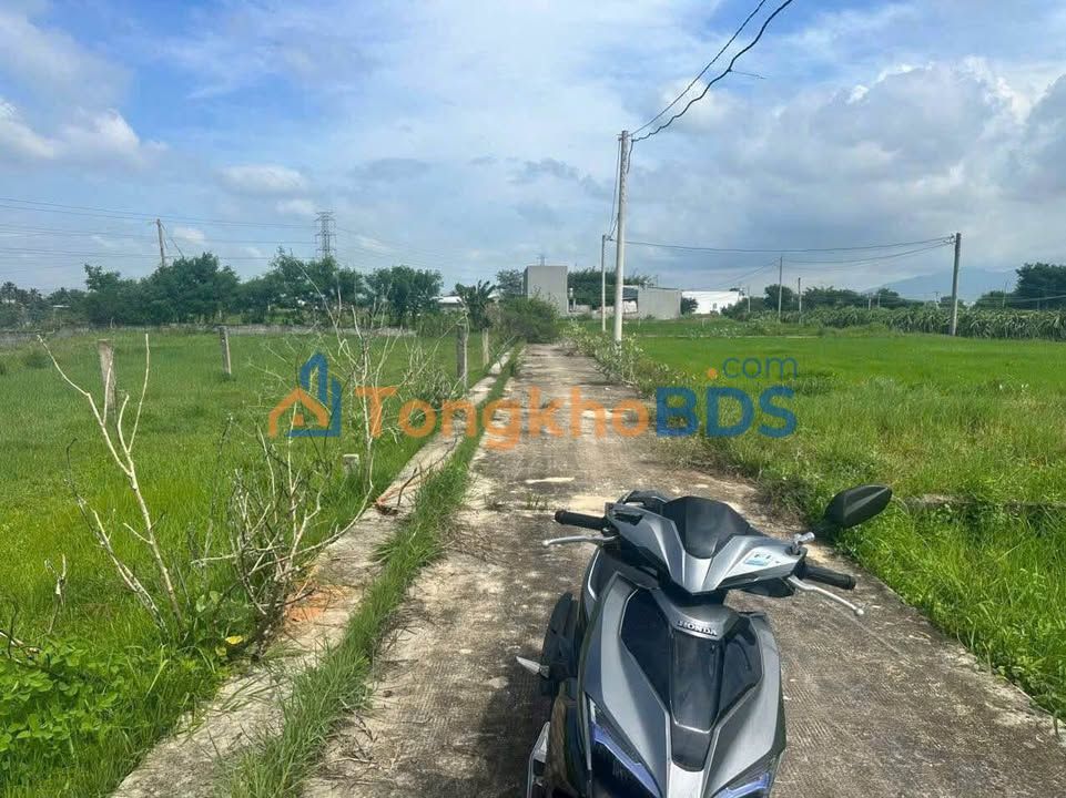 Đất thổ cư Phong Nẫm, Phan Thiết 115m² - Sổ hồng sẵn, giá 550 triệu