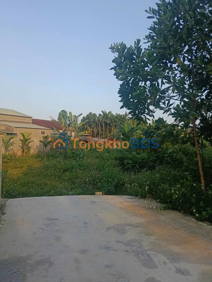 Đất Vườn Nghỉ Dưỡng 600m² Đà Nẵng - Sổ Đỏ Rõ Ràng, Giá Đầu Tư