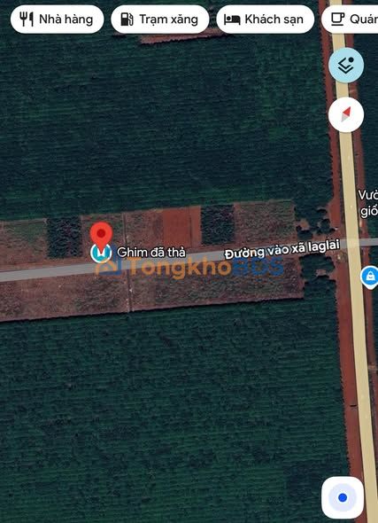 Đất thổ cư 350m² Chư Sê, Gia Lai - Sổ đỏ sẵn sàng, giá đầu tư