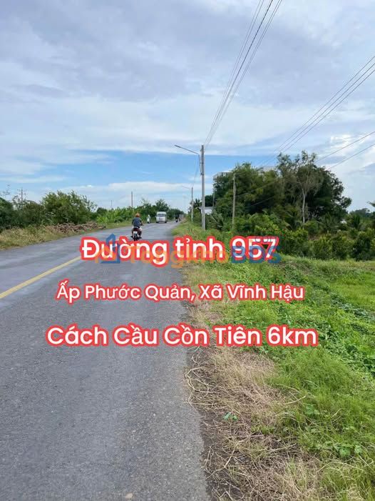 Đất Mặt Tiền Tỉnh Lộ 957 An Giang 2079m² - Sổ Hồng Chính Chủ