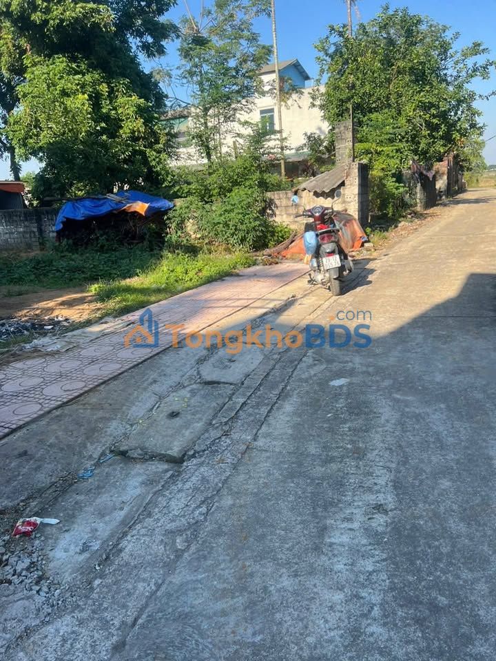 Đất nền Phú Cát, Quốc Oai 290m² - Cắt lỗ sâu, chia 2 lô