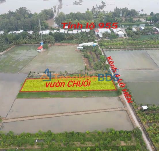 Đất nền Kênh 4 Lò Hên Vĩnh Châu 2.900m² 1,073 tỷ - Đường to ô tô
