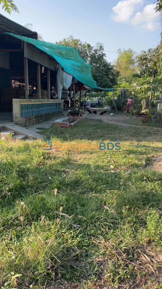 Bán Gấp Đất Vườn An Giang 4500m² - Giá Đầu Tư 2xx Triệu/Công