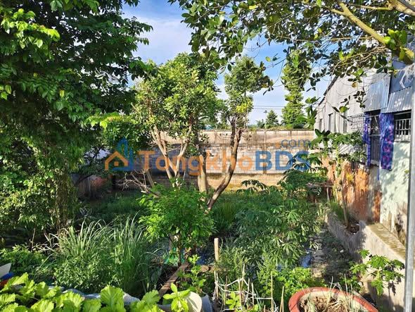 Đất Vàng Đường Mậu Thân, Châu Đốc 80m² - Sổ Đỏ Rõ Ràng, Giá 1.18 Tỷ