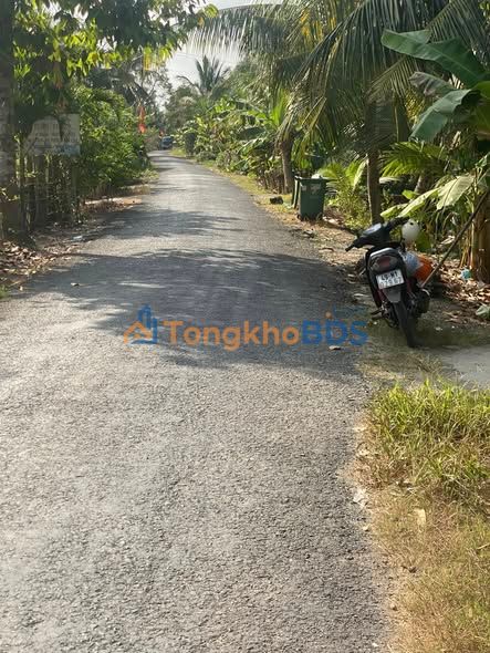 Đất Nền Ngãi Tứ, Tam Bình, Vĩnh Long - 200m² Giá Chỉ 320 Triệu