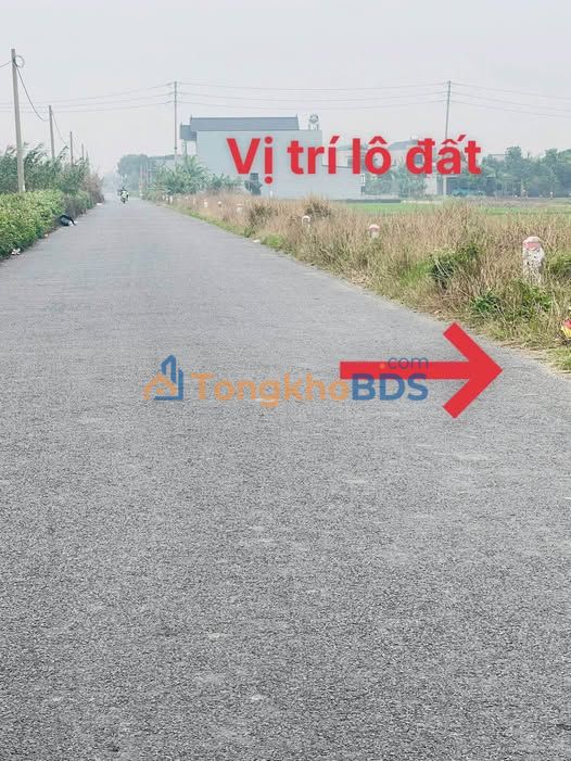 Đất nền 100m² Trần Lãm, Thái Bình - Sát ĐT464, View Sông