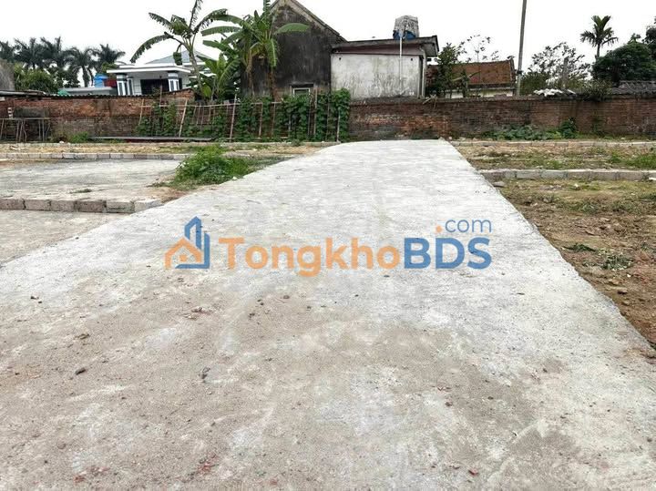 Đất nền Thái Thụy, Thái Bình 75m² - Hơn 300 triệu, ô tô vào tận nơi