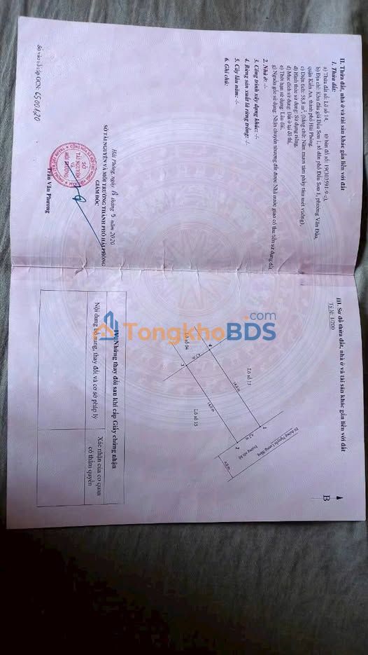 Đất Đấu Giá Đẩu Sơn 1, Kiến An 58.8m² - Sổ Đỏ Chính Chủ, Giá 1.8 Tỷ