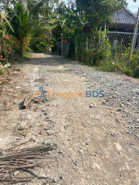 Đất Nền Lai Vung Đồng Tháp 165m² - Mặt Tiền Huyện Lộ Số 3