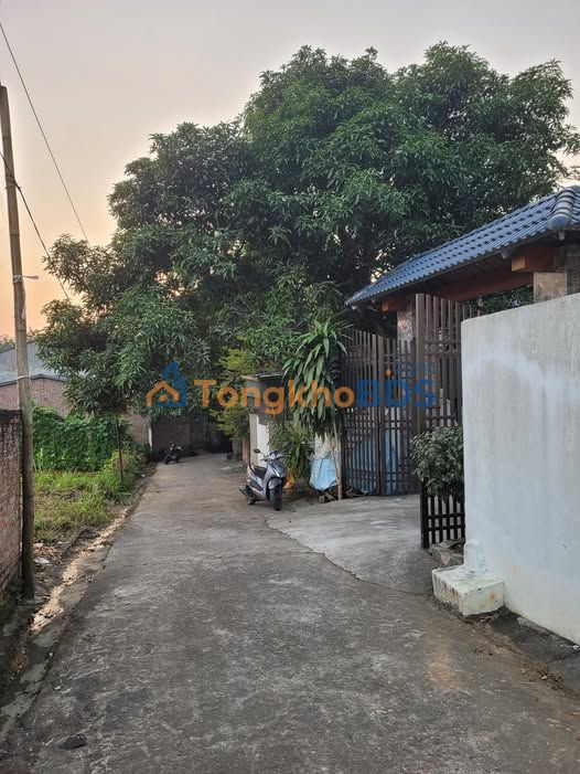 Bán đất Kim Đức Việt Trì 101m² - Sổ đỏ sẵn, giá 9xx triệu