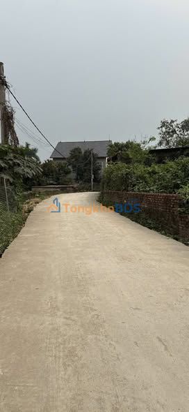 Bán đất Phường Nông Trang, Việt Trì 123.8m² - Gần Chợ, Hồ Mát Mẻ