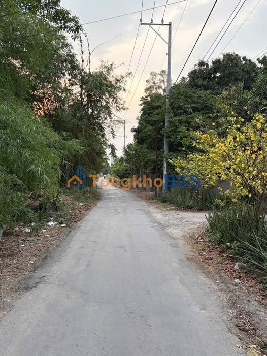 Bán Đất Vườn Rộng 4300m² Mặt Tiền 20m - Bình 5, Long Xuyên