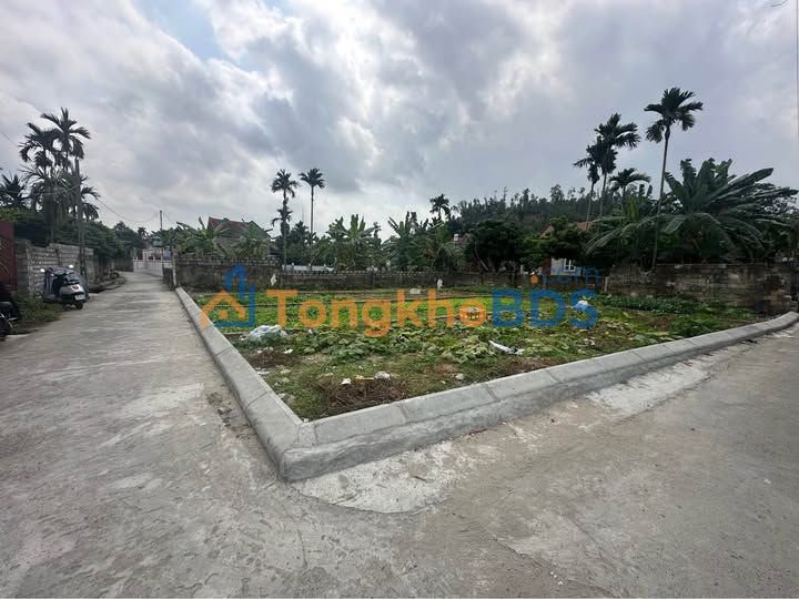 Đất nền Sổ đỏ trao tay - Xã Liên Khê, Thủy Nguyên - Giá chỉ hơn 500 triệu