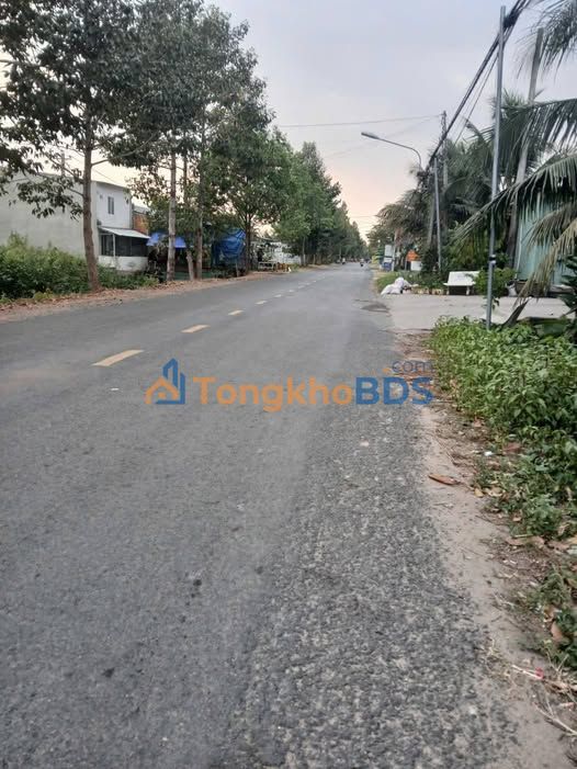 Bán Đất Vườn 1539m² Mặt Tiền Củ Hữu Định, Bến Tre - Sẵn Sàng Thu Hoạch Dừa