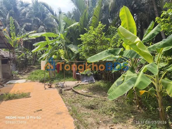 Bán Đất Vườn Bến Tre 1324m² Giá 1.25 Tỷ - Mặt Tiền Sông, Gần QL60