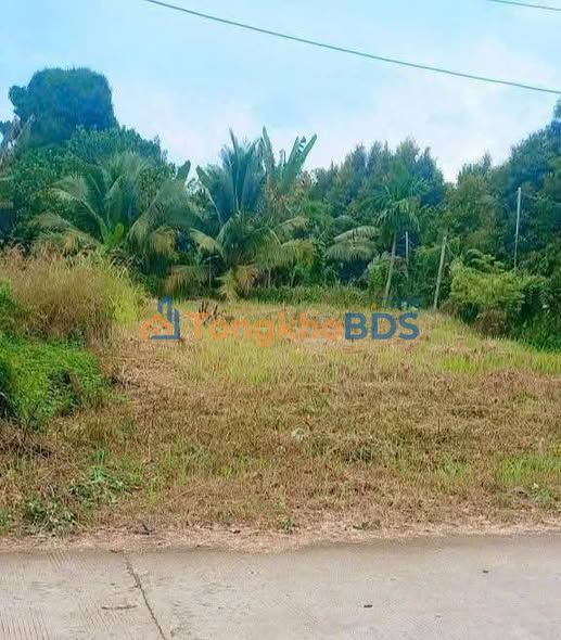 Bán Đất Nền Mặt Tiền 289.8m² Bến Tre - Sổ Hồng, Đường 16 Chỗ