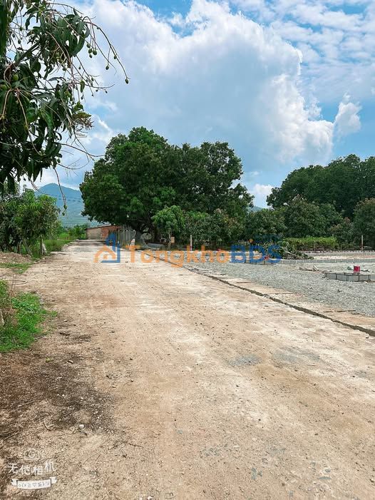 Đất thổ Suối Tân Cam Lâm 195.8m² - Sổ hồng sẵn sàng công chứng