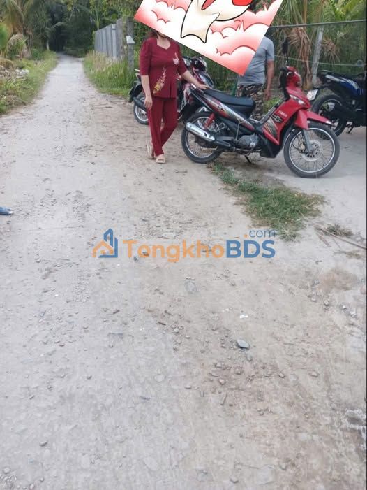 Bán Đất Nền 808m² Sổ Đỏ Xã Lương Hòa, Giồng Trôm - Giá 550 Triệu