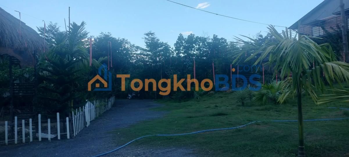 Đất nền Hòa Ninh Đà Nẵng 9.000m² - Sổ đỏ chính chủ